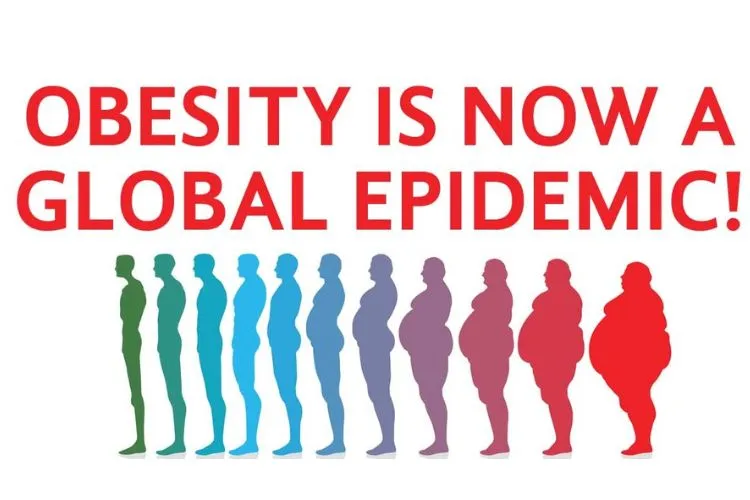 The Global Obesity Epidemic: Unpacking the Impact of Ultra-Processed Foods